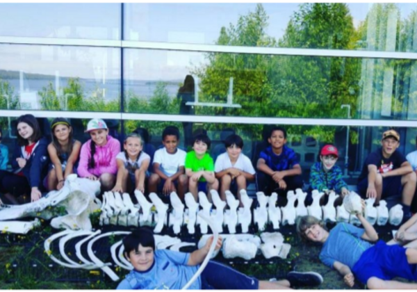 students with a whale skeleton