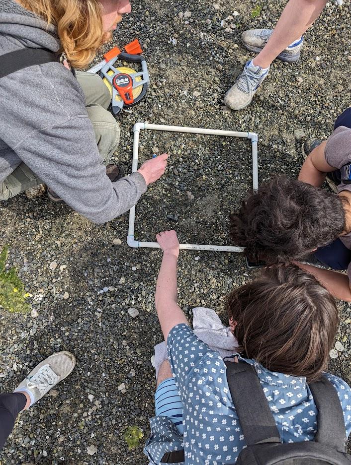 Students on beach with transect