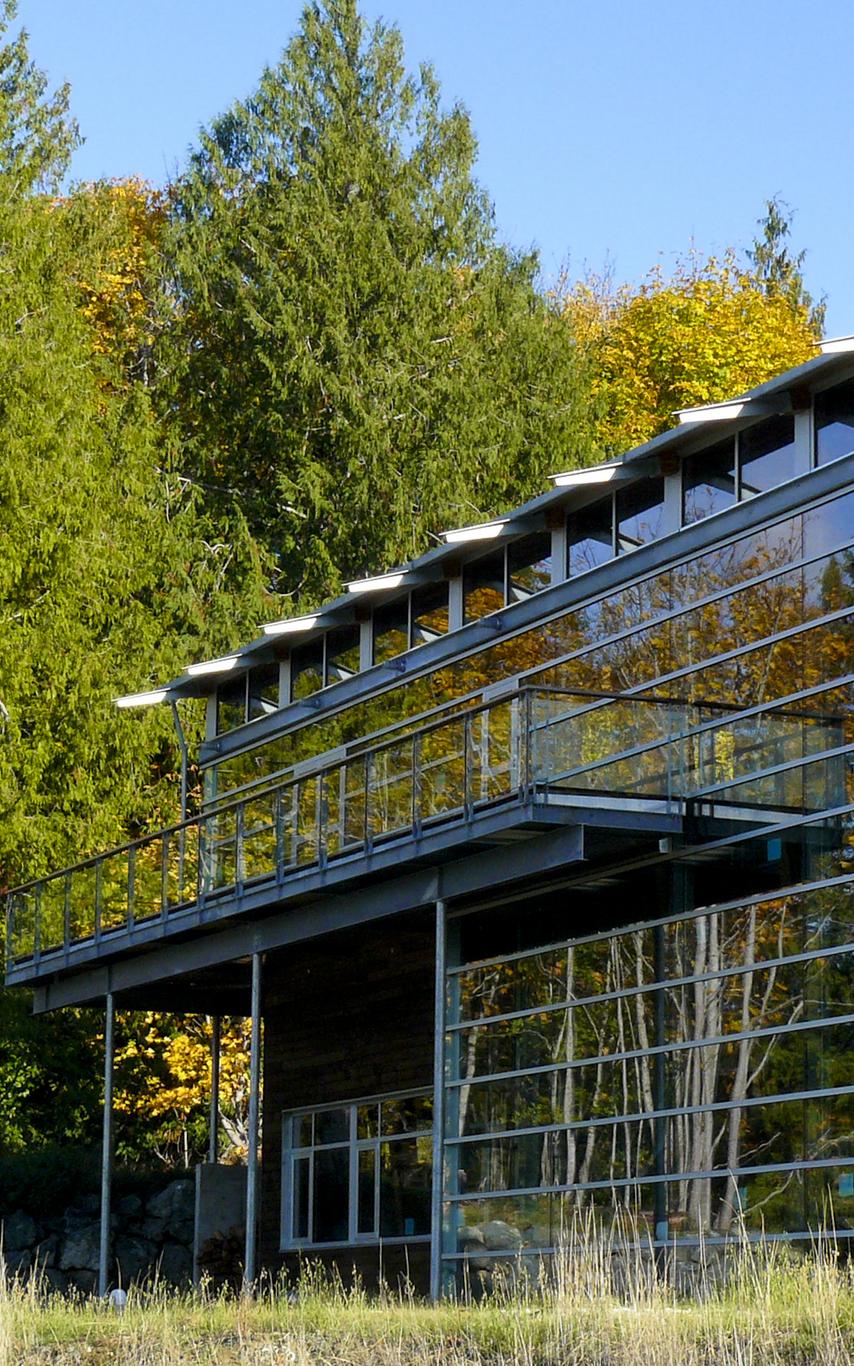 Ground Level Windows